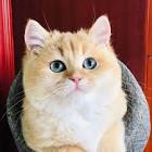 Profile Picture of   James liu (@jamesliu222) |... (@jamesliu222) on Tiktok