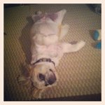 Profile Picture of Jimmy Hitt (@raegoldenbeat) on Instagram