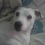 Profile Picture of Richard Garbutt (@richard_garbutt) on Instagram