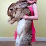 Profile Picture of Jasmine Poulin (@jasminelaframboise76) on Instagram