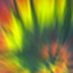 Profile Picture of Maria Ester  Rabello (@mariaesterrabello) on Flickr