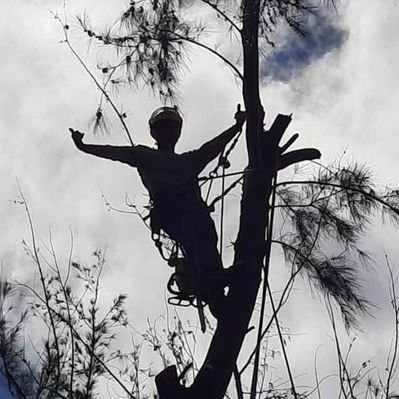 Profile Picture of Joshua Rugg (@joshuarugg8) on Twitter