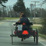 Profile Picture of john weaver (@amishbishop15) on Instagram