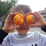 Profile Picture of toby shepard (@tubstool) on Instagram