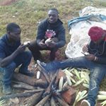 Profile Picture of George Severino (@george.severino.52) on Instagram