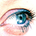 Profile Picture of Heidy Brakenhoff (@heidy's foto's) on Flickr