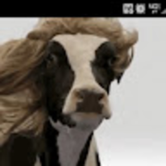 Profile Picture of Andrew Leggett (@leggetta04) on Poshmark