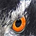 Profile Picture of Mark Phillips (@desperately seeking) on Flickr