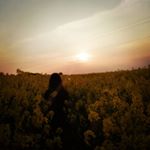 nuka falksen - Instagram Profile Picture of nuka falksen (@nukafalksenn) on Instagram