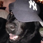 Profile Picture of Louie Luke Wagnon (@louie_luke_wagnon) on Instagram