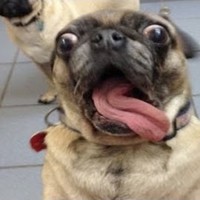 Profile Picture of James Lupo (@james-lupo-7) on Quora