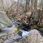 Joseph Castaldo - Instagram Profile Picture of Joseph Castaldo (@joecastaldo7) on Instagram