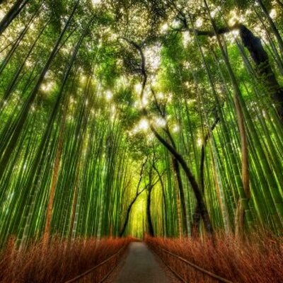 Profile Picture of Joe Soler (@JoeSoler1) on Twitter