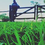 brian_inchausti2018 - Instagram Profile Picture of brian_inchausti2018 (@brian_inchaust) on Instagram