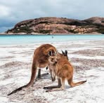 Profile Picture of Danielle Watson (@danielle.watson.885272) on Facebook