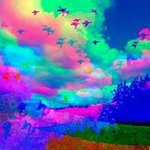 Profile Picture of Jason Christopher Smuts (@jasonsmuts) on Instagram