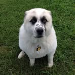 Profile Picture of Mark Bowden Deckenbach (@mark.deckenbach) on Facebook