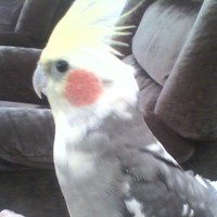 Thomas Hayman - Quora Profile Picture of Thomas Hayman (@thomas-hayman-2) on Quora