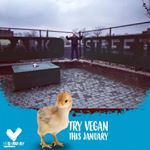 Profile Picture of Sebastian Lombardi (@grotivational) on Instagram