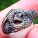 Jackson Harris - Instagram Profile Picture of Jackson Harris (@jacksonharris714) on Instagram