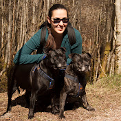 Profile Picture of Keshy (@pufffpav) on Youtube