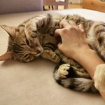 Profile Picture of Diletta Petrucci (@petruccidiletta) on Instagram