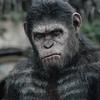 Profile Picture of Eddie Mattocks (@@el1te.enxy) on Tiktok