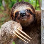 Profile Picture of Igor Polyakov (@igor.polyakov.386433) on Facebook