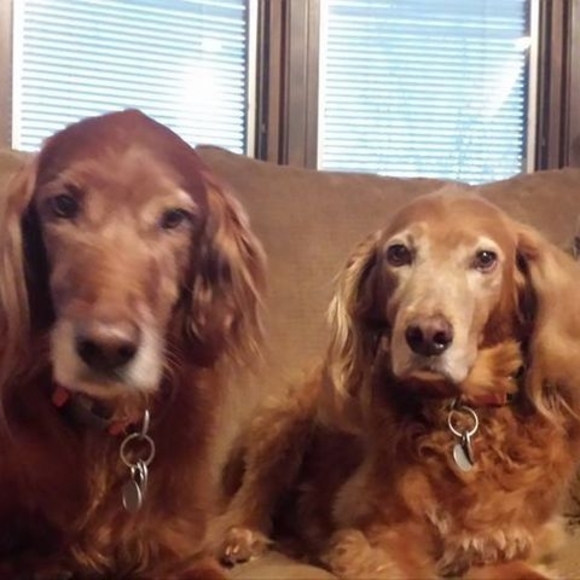 Profile Picture of Stephanie Machin (@s_machin) on Poshmark