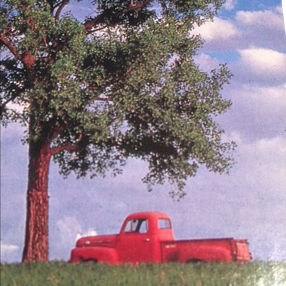 Profile Picture of Pamela Driessen (@pameladakota) on Poshmark