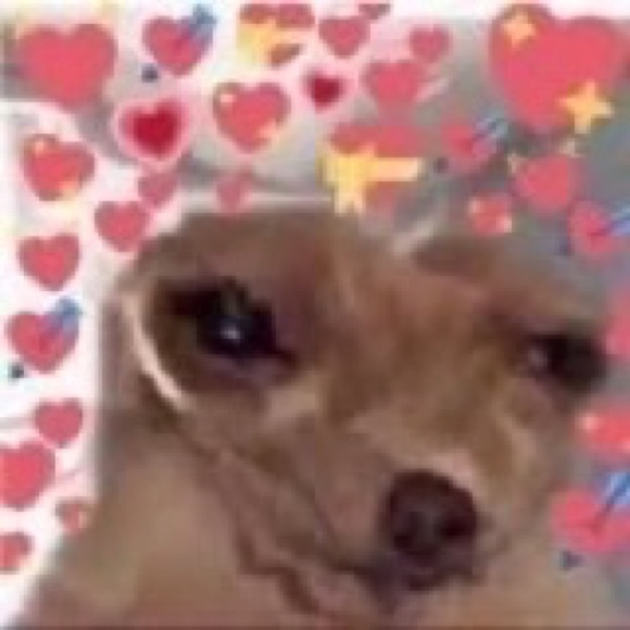 Profile Picture of Alec Torres (@ale_c161) on Poshmark