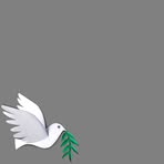 Profile Picture of Paula Dyer (@Paula-Dyer) on Facebook