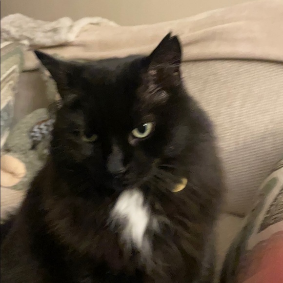 Robert Ayres - Poshmark Profile Picture of Robert Ayres (@robertayres) on Poshmark