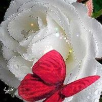 Profile Picture of Sherry Tanner (@sherry-tanner-10) on Quora