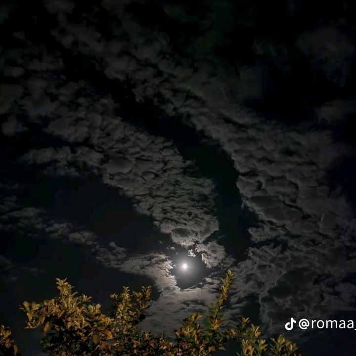 Profile Picture of wesleykillian0 (@wesleykillian0) on Tiktok