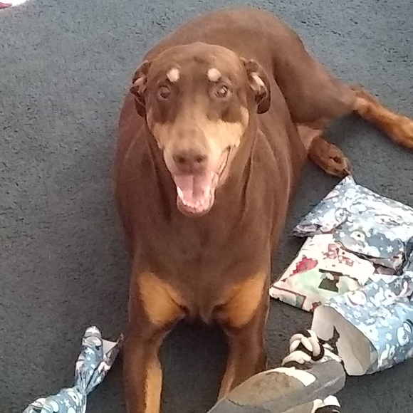 Profile Picture of Joseph Hajdasz (@joetattoo73) on Poshmark