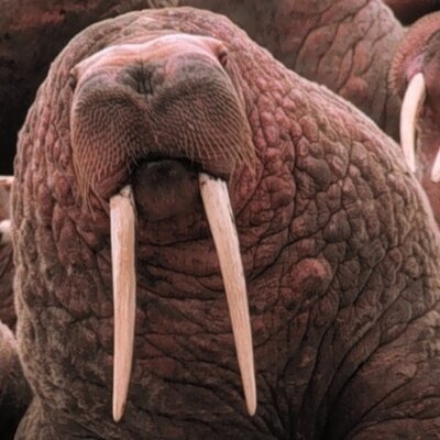 Profile Picture of Michael Stanley (@michaelfstanley) on Twitter