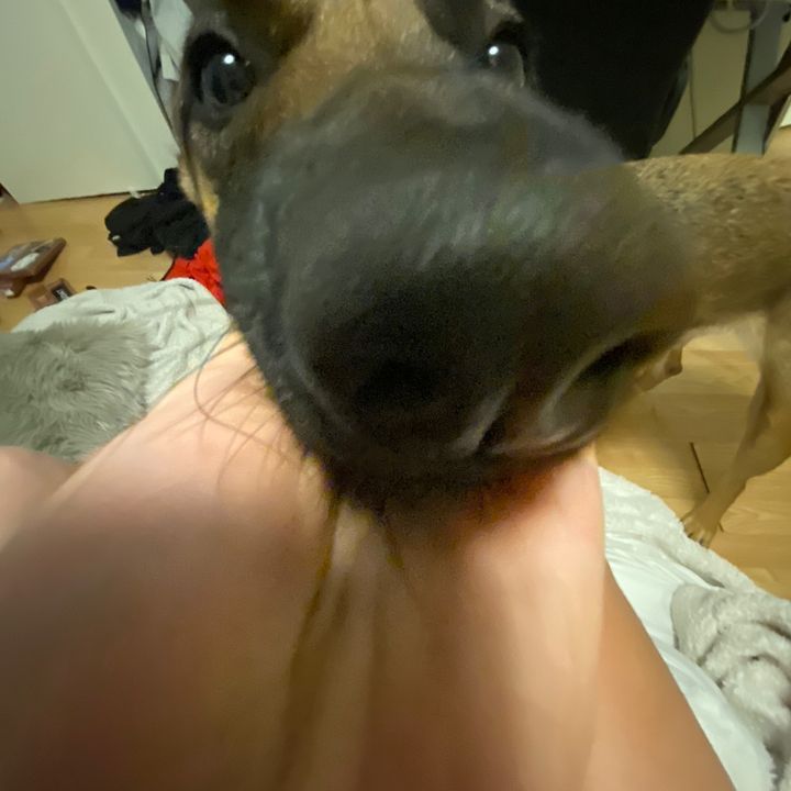 Profile Picture of Joseph holt (@joseph.holt07) on Tiktok