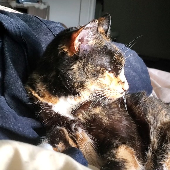 Profile Picture of Sara Luneski (@sluneski) on Poshmark