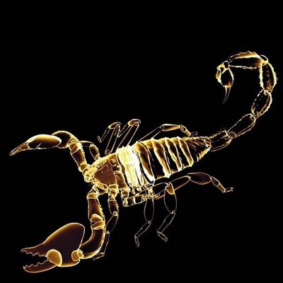 Profile Picture of Jason Martens (@jasondemason) on Twitter