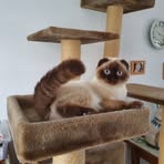 Profile Picture of Martine Lingner (@martine.lingner.7) on Facebook