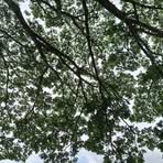 Profile Picture of Jeffrey Cordero (@jeffrey.cordero.975495) on Facebook