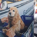 Profile Picture of Mónicacollazos (@monicacollazos01) on Instagram