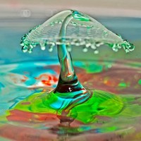 Profile Picture of Kickey Daitlyn (@kickey-daitlyn) on Quora