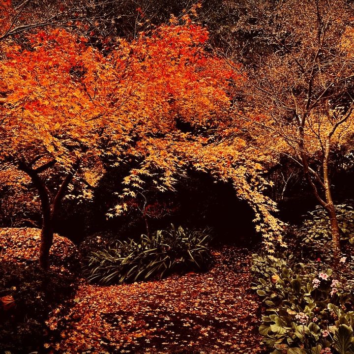 Profile Picture of Jason Kirk (@outdoorgardening1) on Tiktok