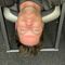 Profile Picture of Jake Halladay (@Jake-Halladay) on Facebook