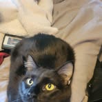 Max Collette - Facebook Profile Picture of Max Collette (@brecklyn.collette.3) on Facebook