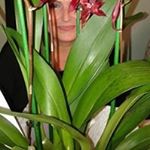 Profile Picture of Loretta Rosetti (@lorettarosetti) on Instagram