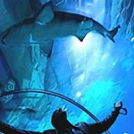 Profile Picture of Nikolay Stoyanov (@nikolay.stoyanov.stoyanov) on Instagram