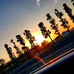 Profile Picture of Michael Rega (@regamichael) on Instagram